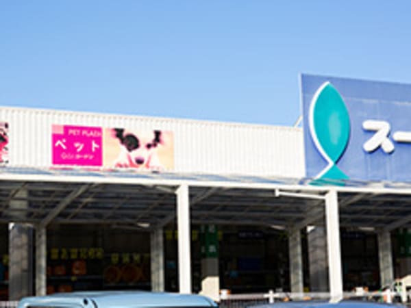 草津市の人気ペットショップ10選!ペットサロンやホテル併設の大型店も!