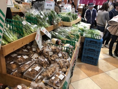 大人から子供まで自然や馬と遊べる!三木ホースランドパーク【神戸】1.jpg