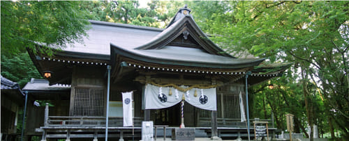 【高知】御朱印が素敵な神社・お寺22宇!御朱印帳情報やエリア別マップ最新版も!