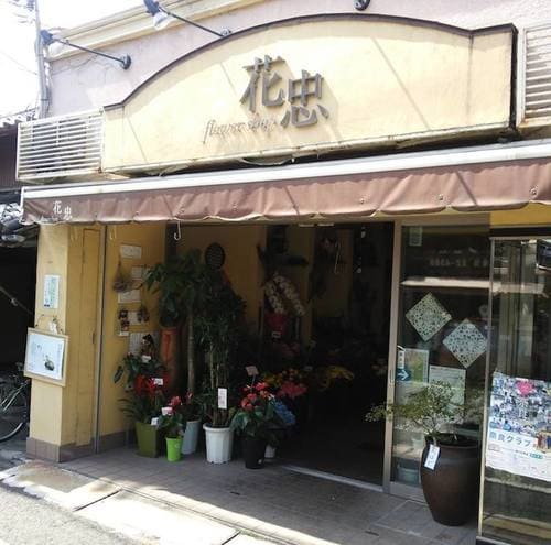 奈良市のおすすめ花屋20選!おしゃれな駅前店やギフトアレンジが人気な店も!