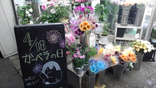 東村山市のおしゃれな花屋11選!便利な駅前店やアレンジ花束が人気な店も!