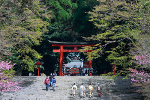 【鹿児島】おすすめドライブスポット22選!定番の観光地から穴場の絶景スポットまで!