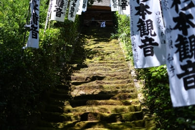 コケ好きにはタマラナイ!鎌倉最古のお寺【杉本寺】で苔写真を楽しむ1.jpg
