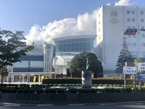 八戸市のおしゃれな花屋25選!便利な駅前店やアレンジ花束が人気な店も!