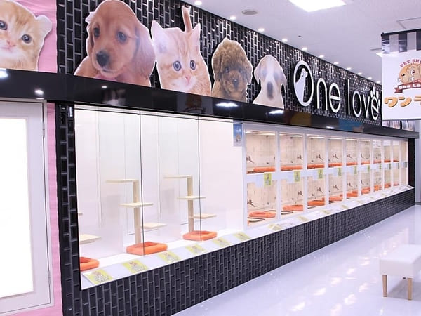 熊本県の大型ペットショップ20選!サロンやペットホテル併設の大型店も!