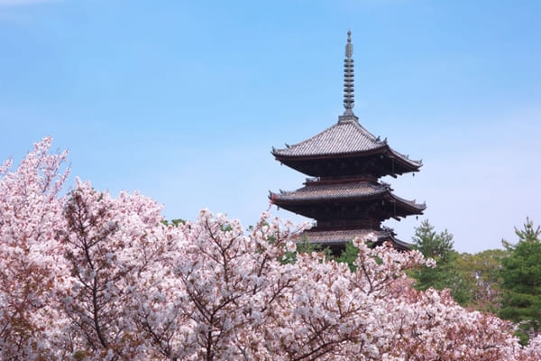 龍安寺・金閣寺・北野天満宮も!龍安寺&周辺をめぐるおすすめ観光モデルコース