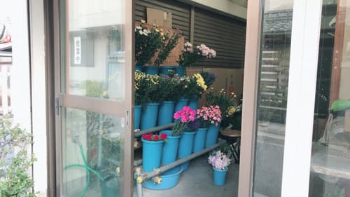 奈良市のおすすめ花屋20選!おしゃれな駅前店やギフトアレンジが人気な店も!