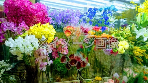 多摩センターの花屋さん7選!おしゃれな駅前店やギフトアレンジが人気な店も!