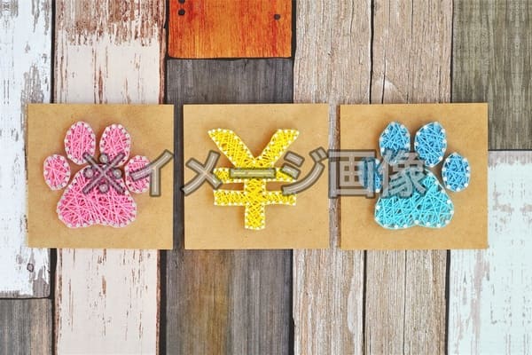 尾道市の人気ペットショップ10選!ペットサロンやホテル併設の大型店も!