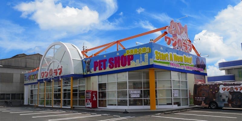 豊橋市の人気ペットショップ11選!サロン・ペットホテル併設の大型店も!