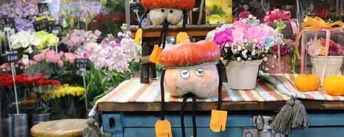 戸田市のおしゃれな花屋11選!便利な駅前店やアレンジ花束が人気な店も!