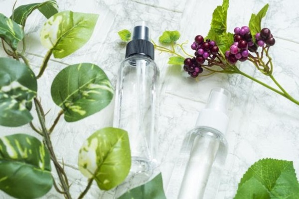虫除け効果のある植物