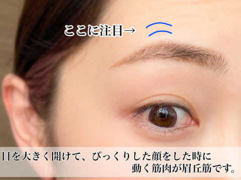 美人見え確実♡絶対マスターしたい「平行眉」&さらに垢抜ける「応用眉」の作り方