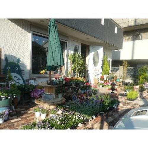 豊田市のおしゃれな花屋13選!便利な駅前店やアレンジ花束が人気な店も!