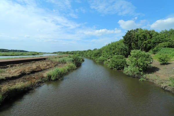 展示も公園も満足度高!【ミュージアムパーク茨城県自然博物館】