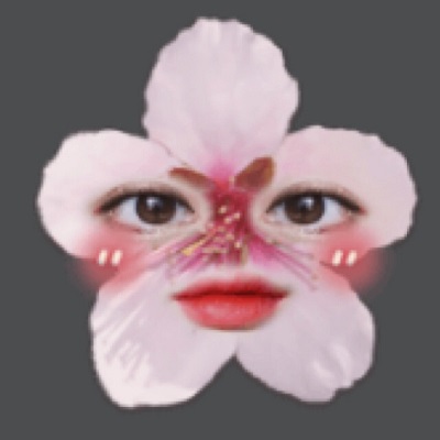 『APPTOPI』より引用