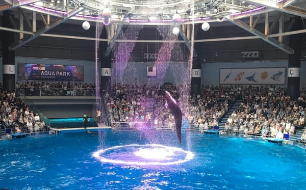 【東京】子供と一緒に行きたいおすすめのスポット5選