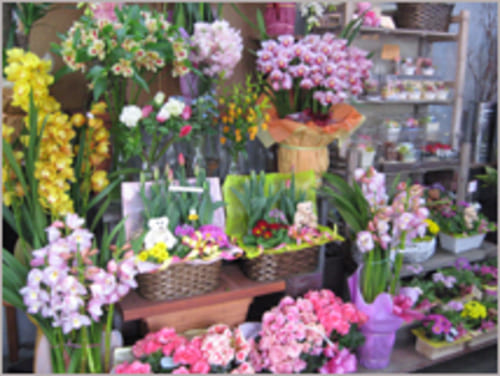 福島市のおしゃれな花屋25選!便利な駅前店やアレンジ花束が人気な店も!