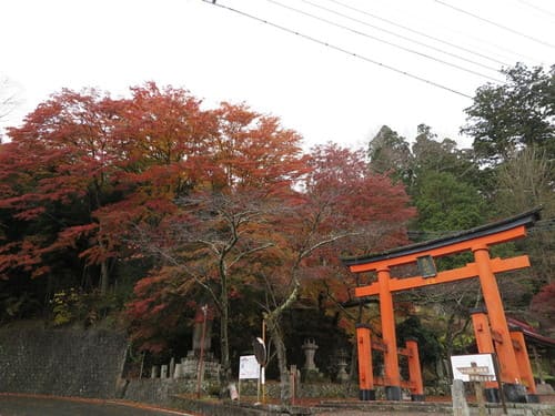 【山梨】おすすめドライブスポット15選!絶景スポットから穴場の観光地まで!