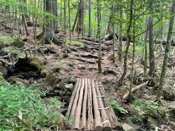 ユネスコ世界ジオパーク認定!高山植物と大絶景を楽しめるアポイ岳を登ろう【北海道】