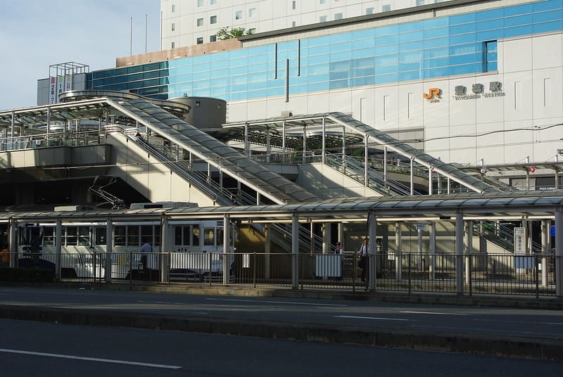 豊橋市の人気ペットショップ11選!サロン・ペットホテル併設の大型店も!
