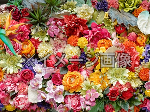 豊中市のおしゃれな花屋25選!便利な駅前店やアレンジ花束が人気な店も!