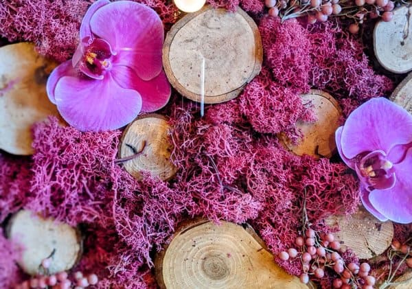 フォトジェニックな花咲くカフェ「Nicolai Bergmann Nomu」その魅力や人気の秘密とは?