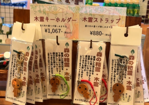 温泉にグルメ、お土産も!屋久島空港周辺のオススメスポット7選
