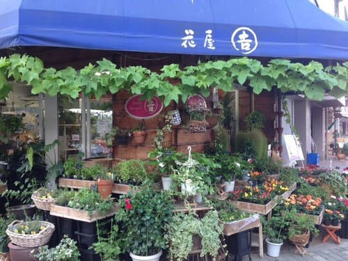 朝霞市のおしゃれな花屋13選!便利な駅前店やアレンジ花束が人気な店も!