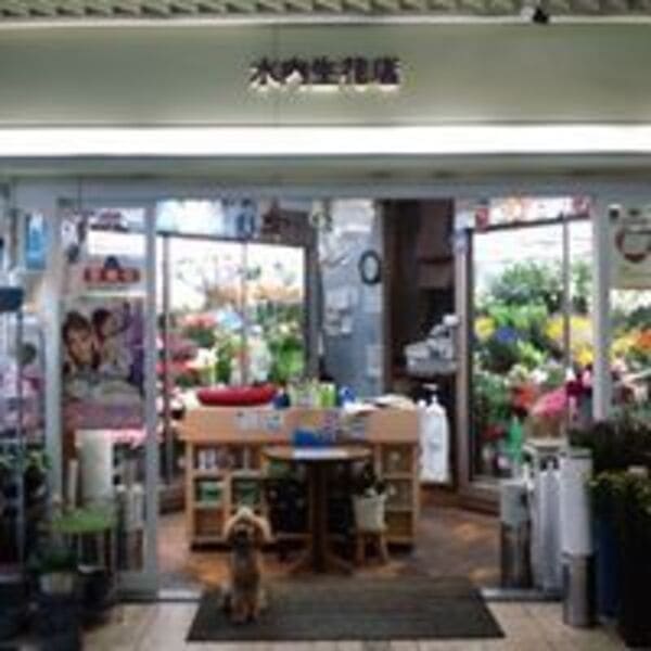 宝塚市のおすすめ花屋16選!おしゃれな駅前店やギフトアレンジが人気な店も!