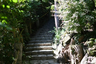 コケ好きにはタマラナイ!鎌倉最古のお寺【杉本寺】で苔写真を楽しむ1.jpg