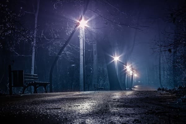 真夜中に幽霊が出る廃病院や殺人のあった森へ行き…「二度と行かない」