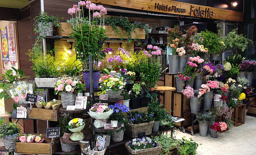 豊中市のおしゃれな花屋25選!便利な駅前店やアレンジ花束が人気な店も!