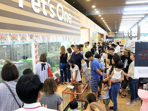 鳥取市のペットショップ6選!サロンやペットホテル併設の大型店も!