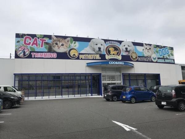 一宮市のペットショップ9選!ペットサロン併設の大型店や子犬専門店も!