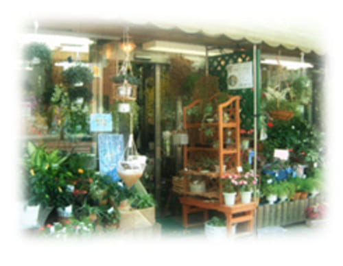 市川市のおしゃれな花屋22選!便利な駅前店やアレンジ花束が人気な店も!