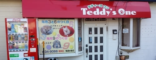 弘前市の人気ペットショップ10選!ペットサロンやホテル併設の大型店も!