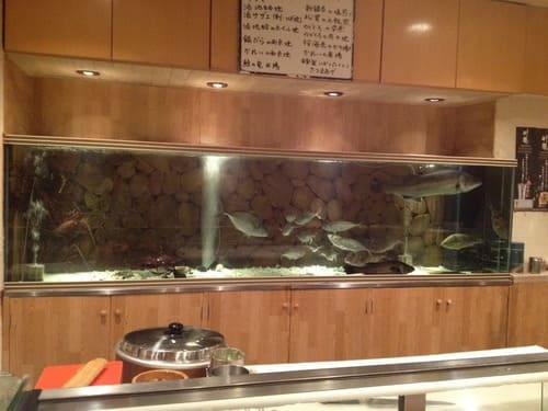 祐天寺駅の寿司屋おすすめ9選!駅近くの高コスパ人気店や隠れた名店も!