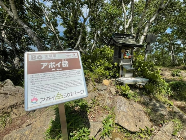 ユネスコ世界ジオパーク認定!高山植物と大絶景を楽しめるアポイ岳を登ろう【北海道】