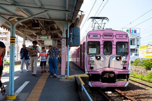 伊賀市のテイクアウトおすすめ13選!人気店のランチやお弁当をお持ち帰り!