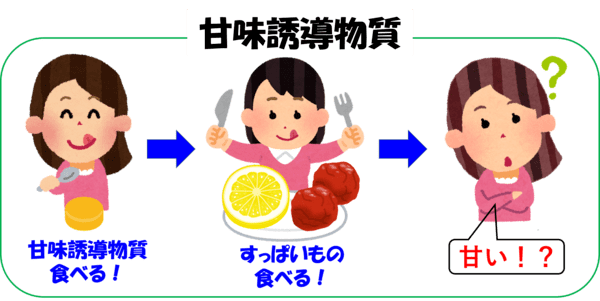 味覚修飾物質とは?~ギムネマ、ミラクリン等の味覚修飾物質の例~