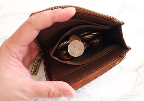 この付録普通じゃない!たっぷり収納でしかも本革?!お店で売ってるレベルのお財布付録3選