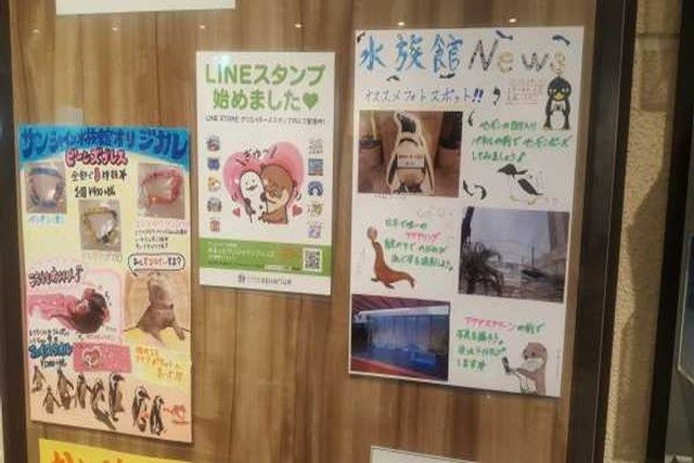 サンシャイン水族館の魅力を徹底解剖! 料金・割引・混雑情報!来館前に知りたい情報解説