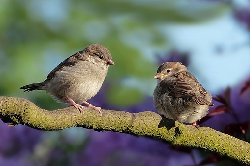 鳥取の方言一覧|通じない鳥取弁や標準語の言い方例文!上京後あるあるも!