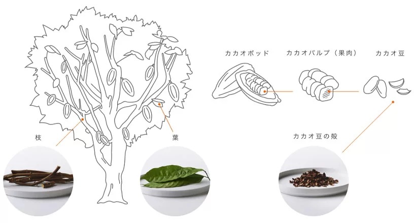 【LIFULL Table】食べることが地球のためになる、地球の新たな食材を見つけるプロジェクト『地球料理 -Earth Cuisine-(アース・キュイジーヌ)』 第三弾発表