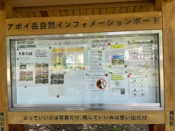ユネスコ世界ジオパーク認定!高山植物と大絶景を楽しめるアポイ岳を登ろう【北海道】
