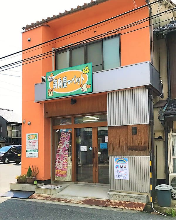 尾道市の人気ペットショップ10選!ペットサロンやホテル併設の大型店も!