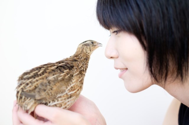 天才肌の人の特徴・性格11選!天才や努力家との違いは?