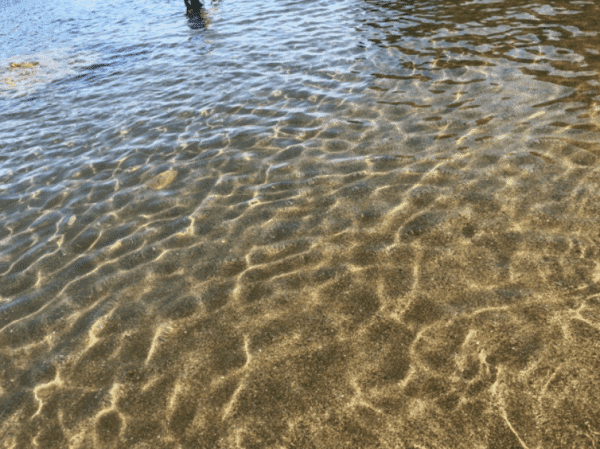 【みはら荘】山陰海岸ジオパークの海の幸山の幸が楽しめる!(兵庫・気比の浜)12.png