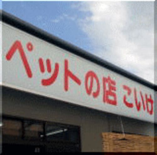 塩尻市の人気ペットショップ10選!ペットサロンやホテル併設の大型店も!